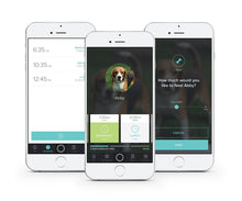 Smart Pet Feeder- Petnet SmartFeeder - Automatic Pet Feeding from Your Smartphone