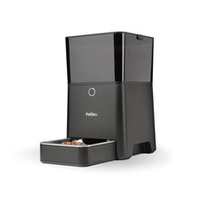 Smart Pet Feeder- Petnet SmartFeeder - Automatic Pet Feeding from Your Smartphone